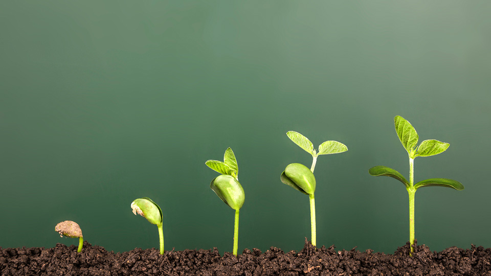 business coaching for tradies